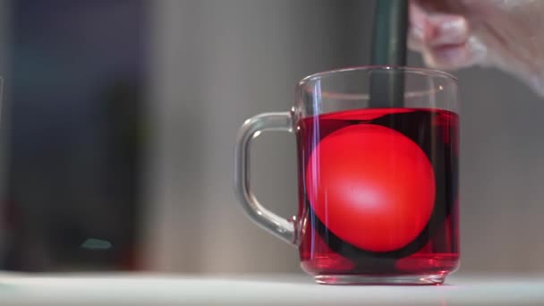 Une personne sort un œuf de poulet de couleur rouge. Coloration des œufs de Pâques — Video