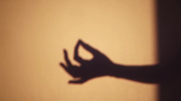 Jnana Mudra symbol - shadow of a female hand at sunset. Hinduism, buddhism concept — Stock Video