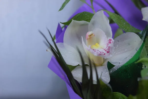 Orchidee eines Blumenstraußes — Stockfoto