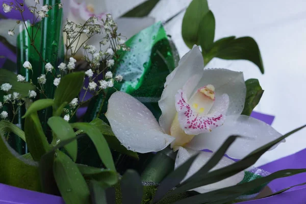 Bouquet Orchids Violet Paper Dew — Stock Photo, Image