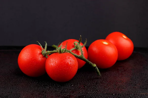 Yeşil sazlık ile domates