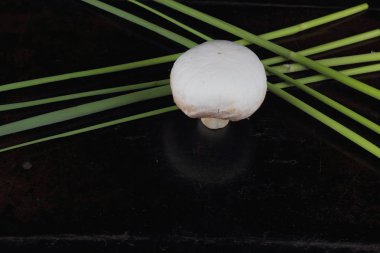 Sazlık ile orman mantar