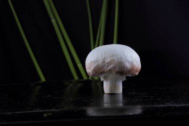 Sazlık ile orman mantar