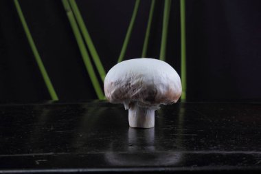 Sazlık ile orman mantar