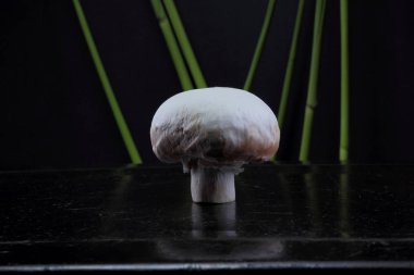 Sazlık ile orman mantar