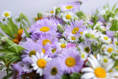 Bahçeden yaz çiçek