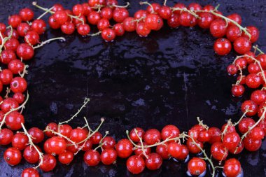 Kırmızı kuş üzümü ile Retro natürmort