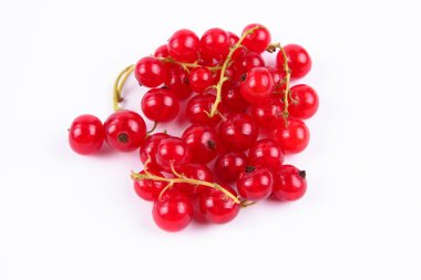 Bir vakum kırmızı kuş üzümü