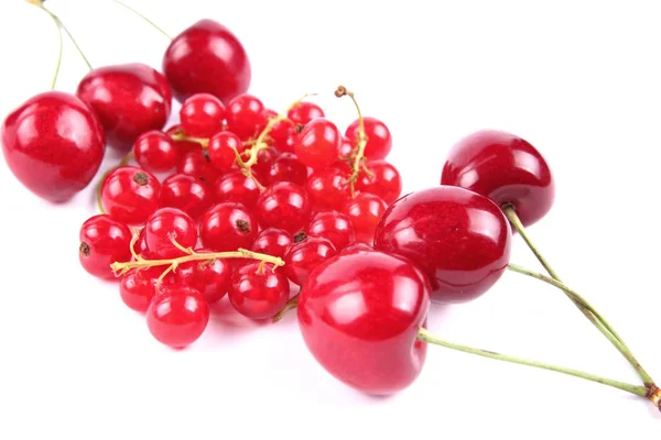 Cherries and currants in a vacuum — Stock Photo, Image