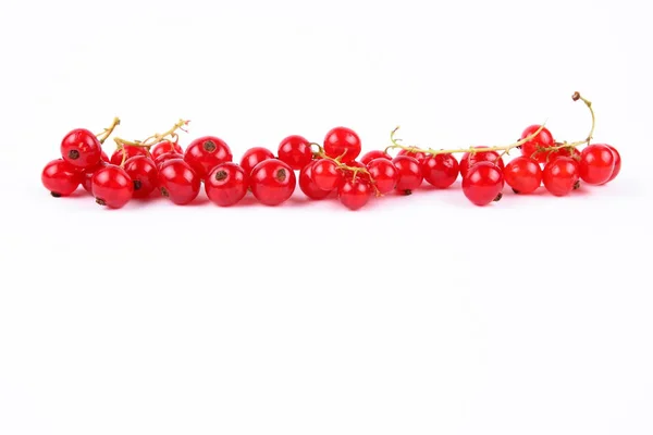 Red currant in a vacuum — Stock Photo, Image