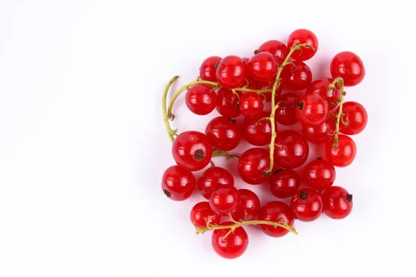 Red currant in a vacuum — Stock Photo, Image