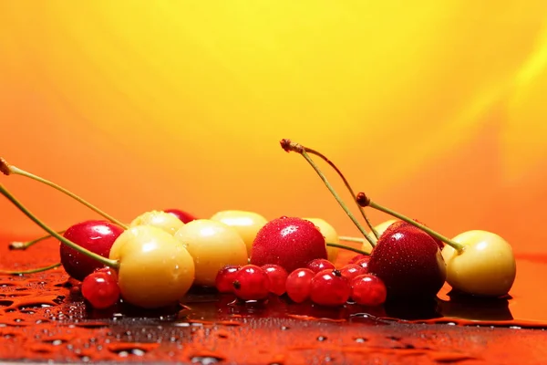 Paradiso ciliegia rossa — Foto Stock