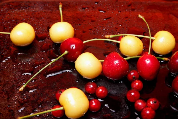 Paraíso cereza roja — Foto de Stock