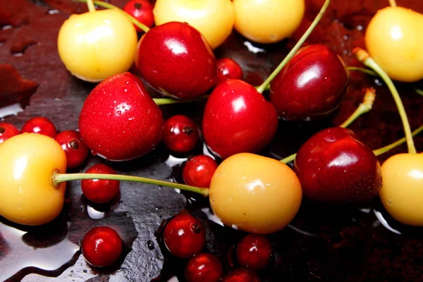 Paradis cireșe roșii — Fotografie, imagine de stoc