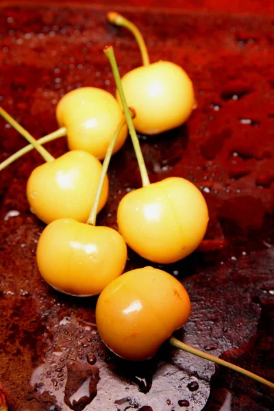 Paraíso cereza roja — Foto de Stock