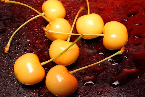 Paraíso cereza roja — Foto de Stock