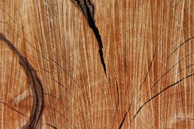 Uzaydan gelen bir ağaç desen