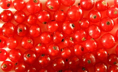 Orman meyveleri yıkanmış