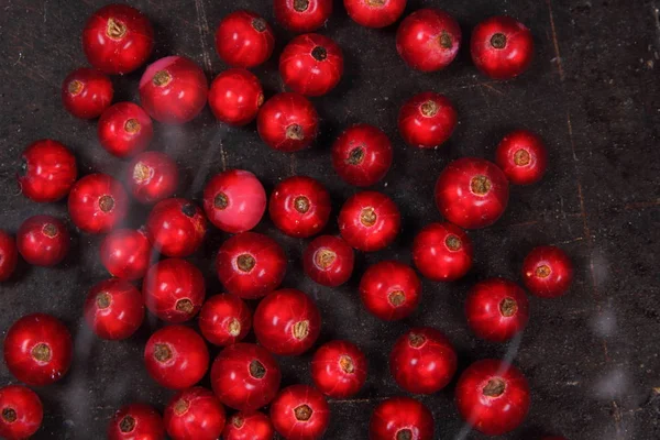 Washed forest red berries