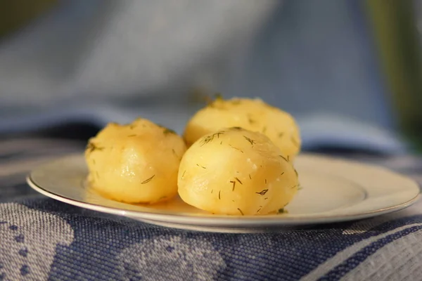 Giovani patate appetitose — Foto Stock