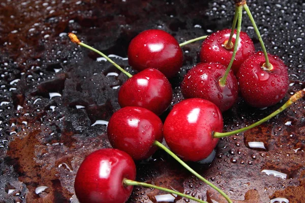 Paraíso cereza roja — Foto de Stock