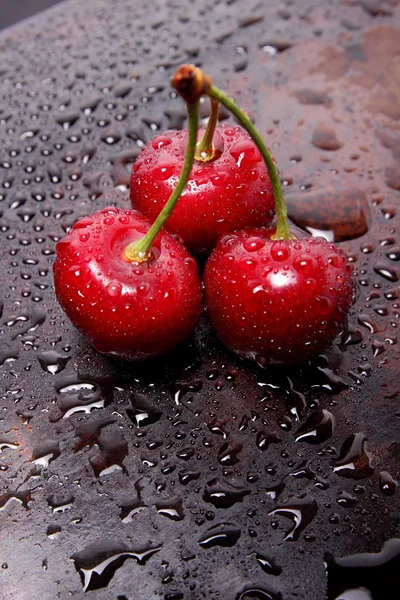 Cherry Paradise czerwony — Zdjęcie stockowe