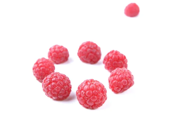 Raspberry on a glossy surface — Stock Photo, Image