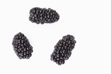 Ormandan gelen taze böğürtlen