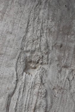 Gri doku çimento tasarımcı için