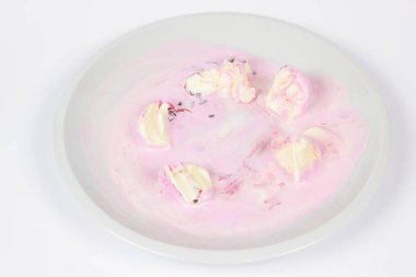 Bir çocuk için beyaz bir tabak içinde dondurma