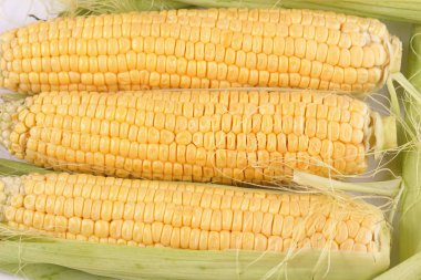 Mısır koçanı ile yaprakları üzerinde izole beyaz arka plan