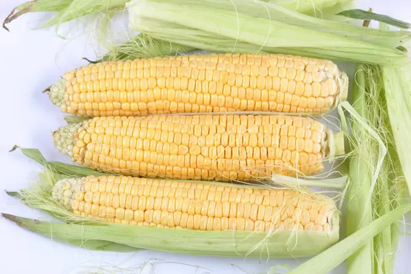 Maiskolben mit Blättern isoliert auf weißem Hintergrund — Stockfoto