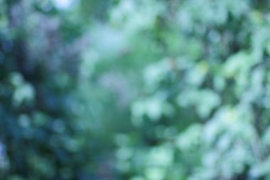 Tasarımcı için yeşil yaprakların arka plan