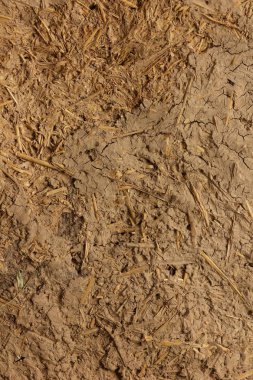 Bir tasarımcı için eski bir kil duvar dokusu