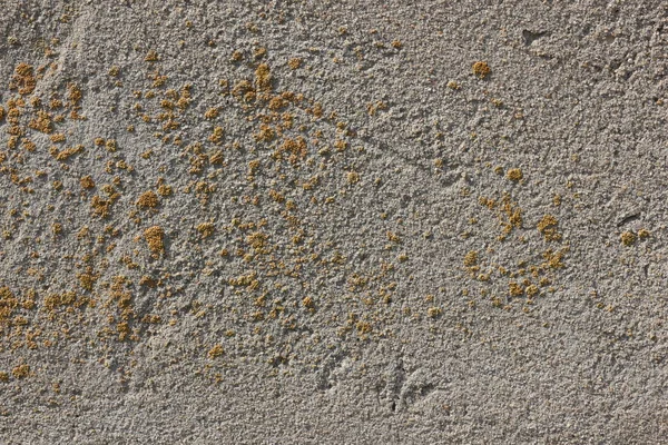 Texture of an old cement wall for a designer — Stock Photo, Image