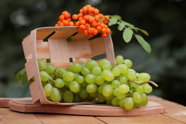 Bir avuç üzüm rowan ahşap sepeti vasıl belgili tanımlık pencere ile