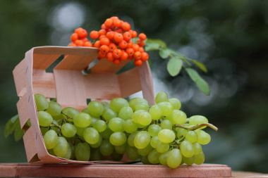 Bir avuç üzüm rowan ahşap sepeti vasıl belgili tanımlık pencere ile