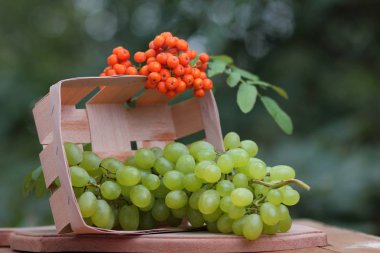 Bir avuç üzüm rowan ahşap sepeti vasıl belgili tanımlık pencere ile