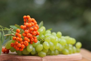 Bir avuç üzüm rowan ahşap sepeti vasıl belgili tanımlık pencere ile