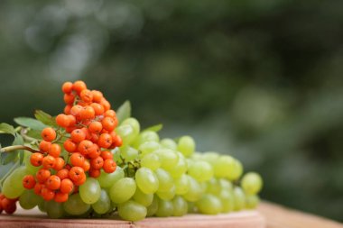 Bir avuç üzüm rowan ahşap sepeti vasıl belgili tanımlık pencere ile