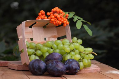 Üzüm, rowan ve mor Erik penceresinde