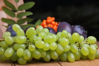 Üzüm, rowan ve mor Erik penceresinde