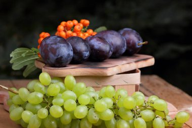 Üzüm, rowan ve mor Erik penceresinde