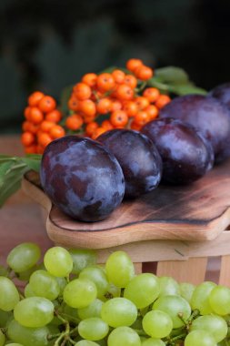 Üzüm, rowan ve mor Erik penceresinde