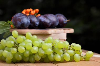 Üzüm, rowan ve mor Erik penceresinde