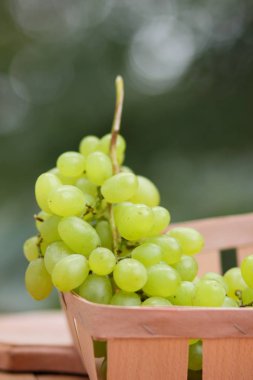 Bir sürü bir pencere üzerinde ahşap sepet içinde Yeşil üzüm