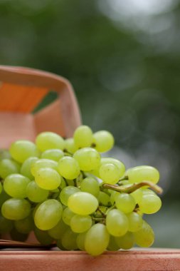 Bir sürü bir pencere üzerinde ahşap sepet içinde Yeşil üzüm