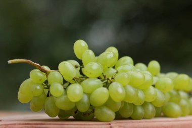Bir sürü bir pencere üzerinde ahşap sepet içinde Yeşil üzüm