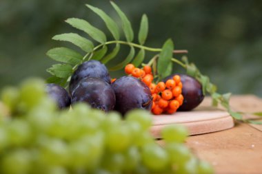 Mavi Erik ve üvez penceresinde ahşap arka plan üzerinde