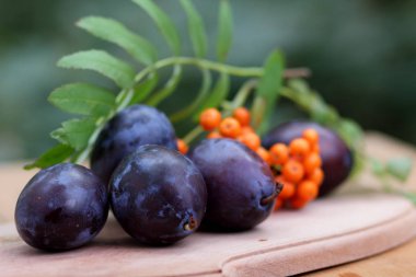 Mavi Erik ve üvez penceresinde ahşap arka plan üzerinde